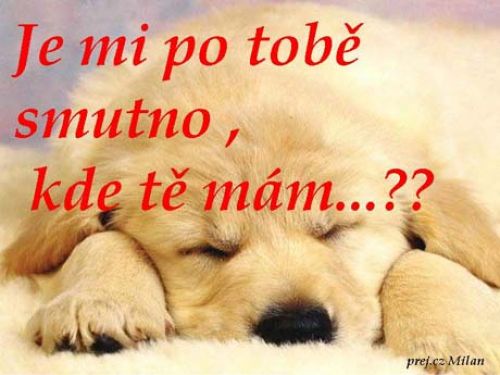 kde te mam.jpg